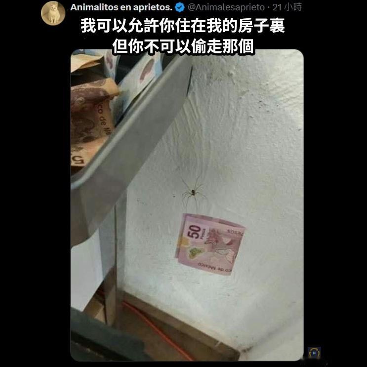我有底线的meme ​​​