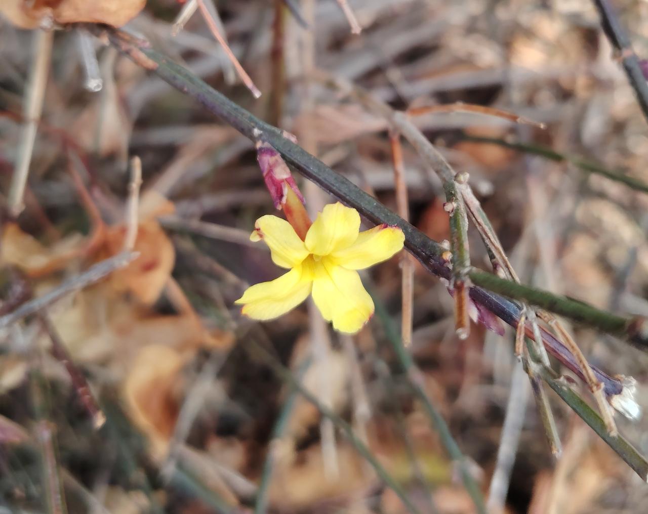 马年开工第一天！祝大家在新的一年里：马年大吉，身体健康，马年鸿运，阖家幸福，龙马