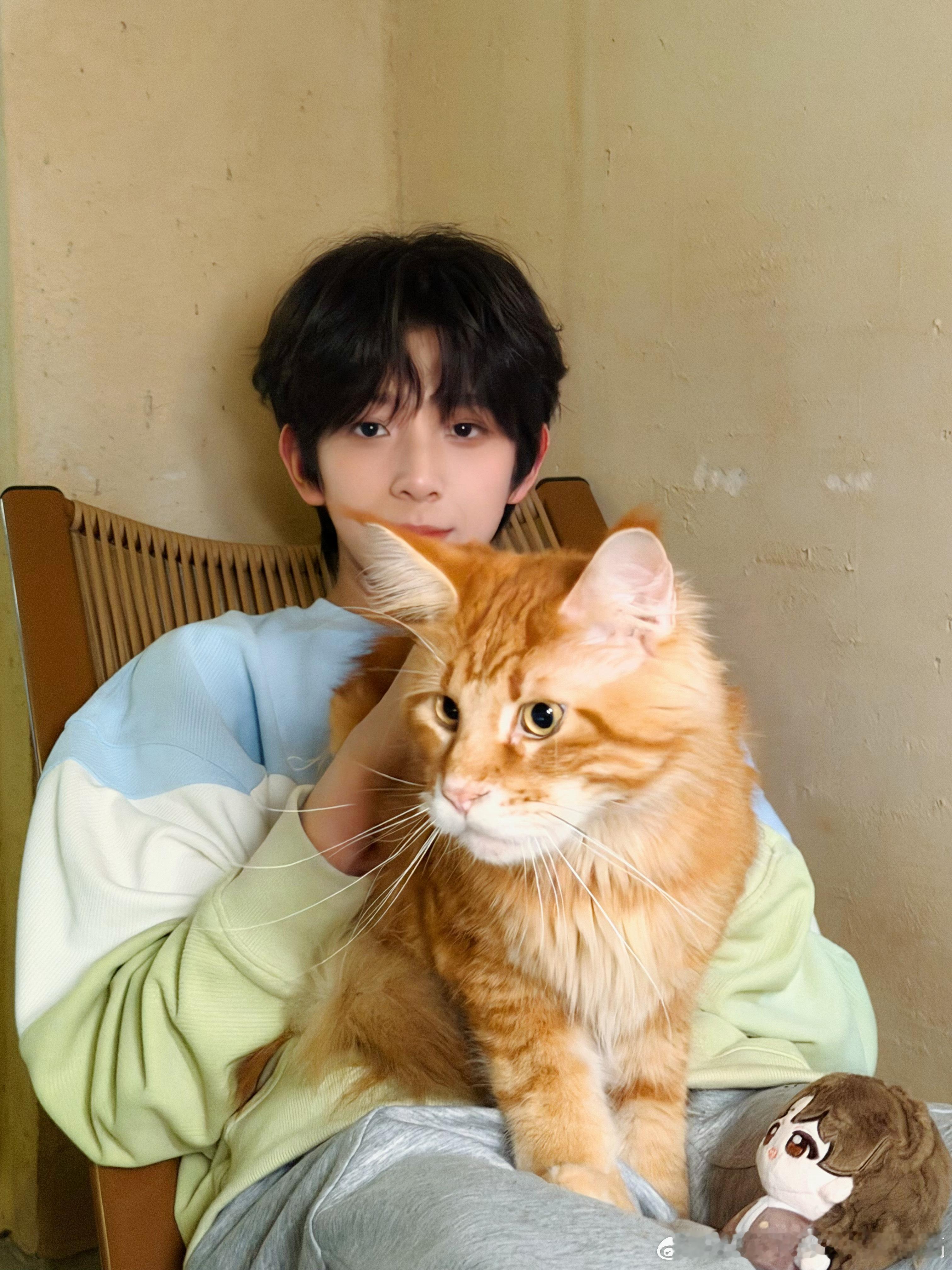 tg要出新娃也不用这么明显吧 