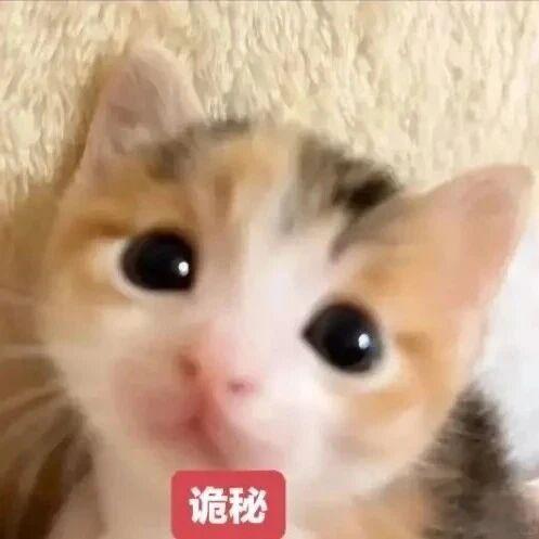 谁敢气走我的女孩我不介意毁掉整个世界