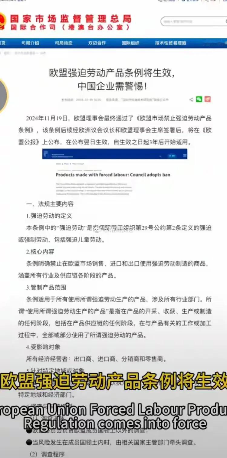 欧盟强迫劳动产品条例，是对人口红利国家的打击！欧盟的要求很简单，卖给欧盟物品的公