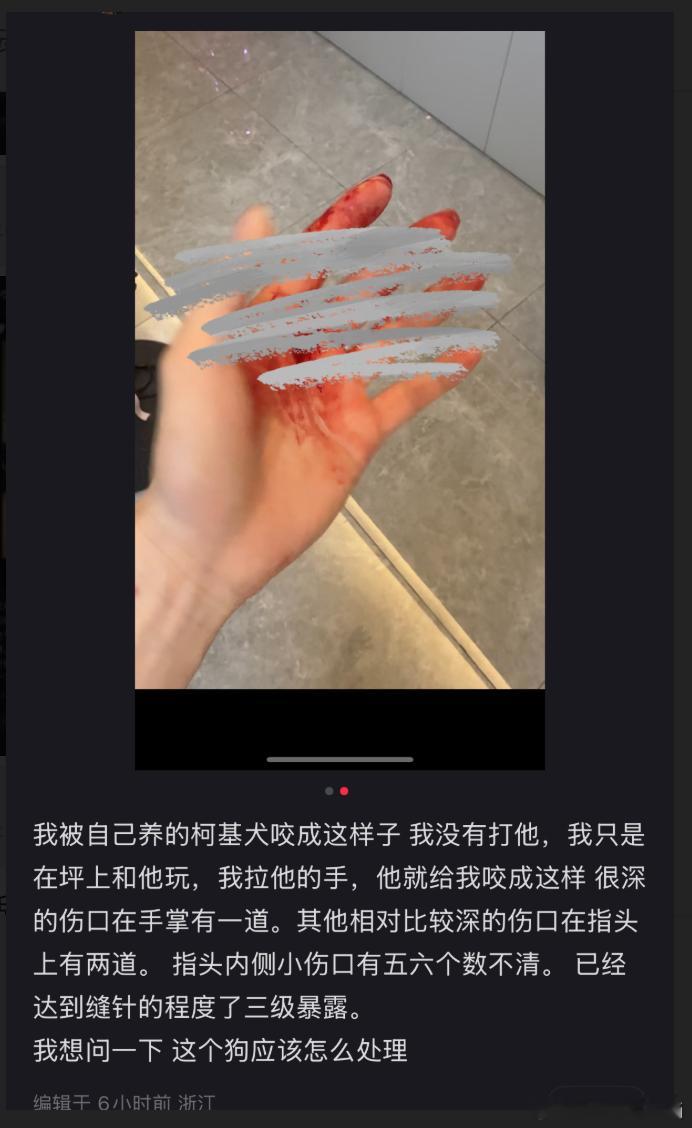 养了这么多年的狗狗，已经是家人了 
