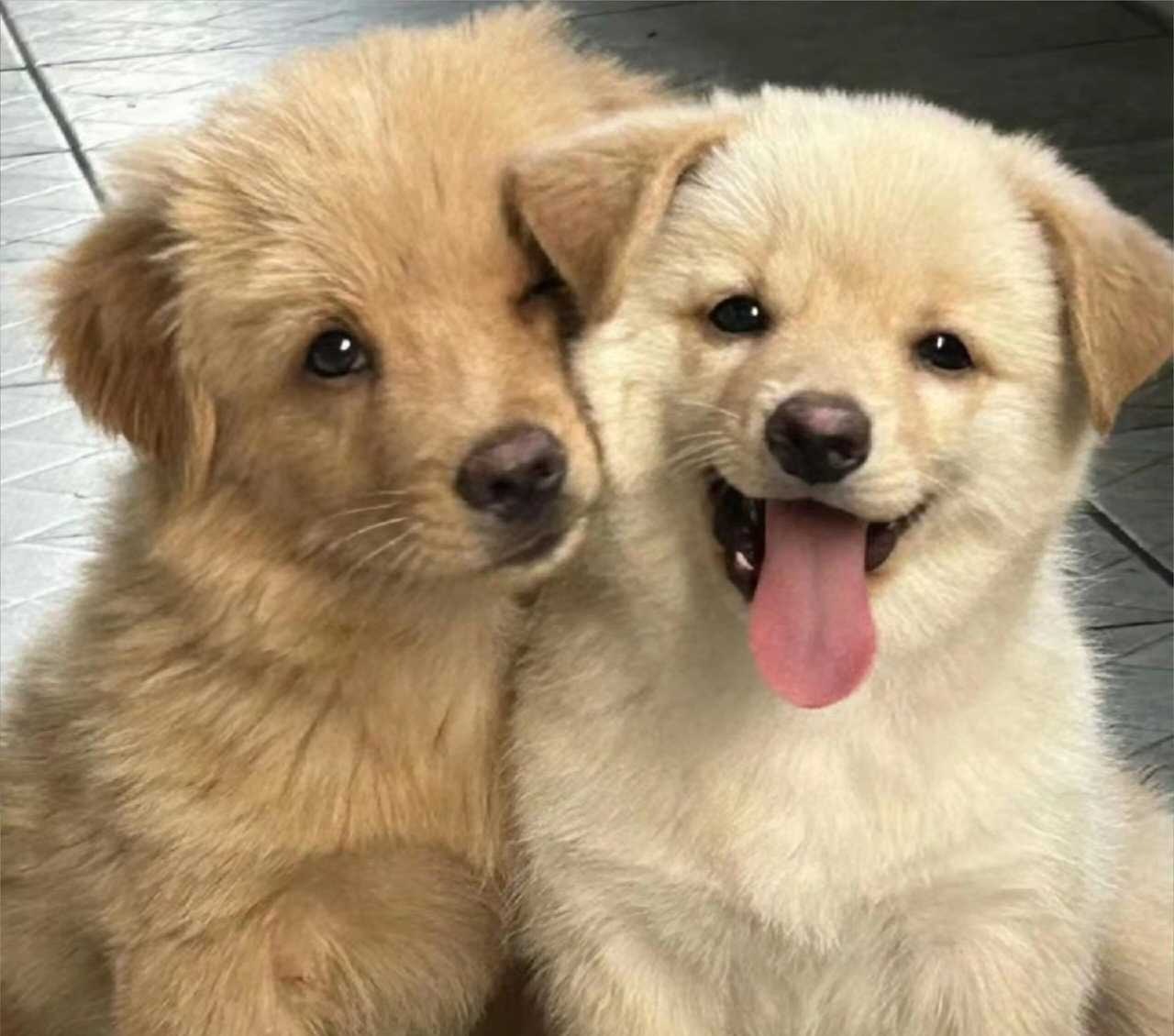 【🪑】tonhee正餐 