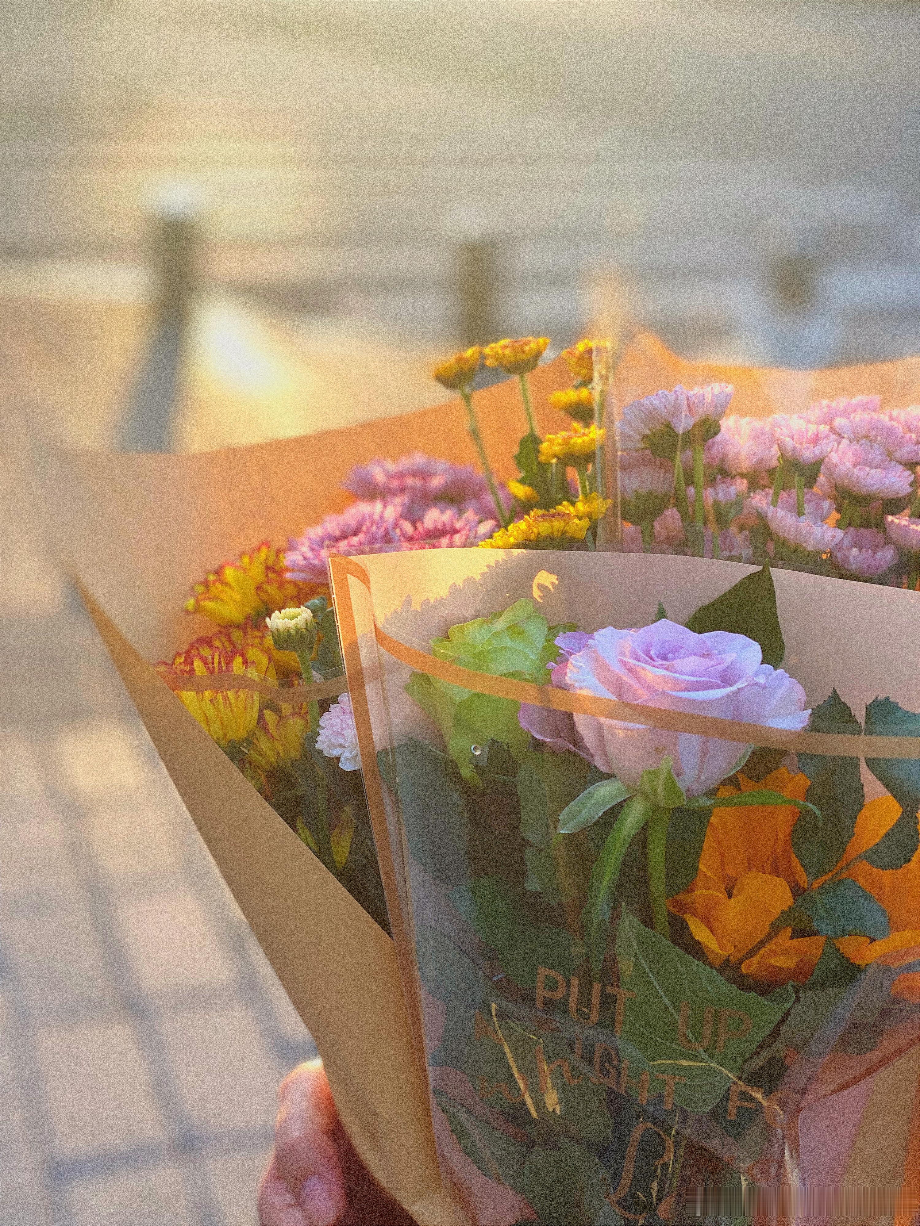🌼🌼 ​​​