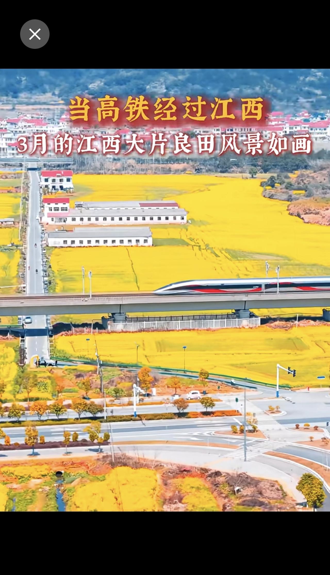 当高铁经过江西，3月江西的油菜花美翻了！