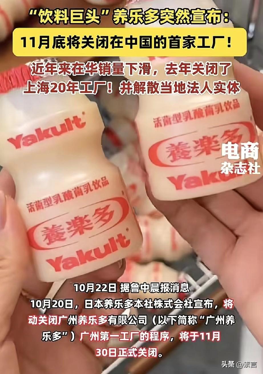 养乐多是日本企业？而且居然是1935年就创办的日本企业。

看到养乐多11月将要
