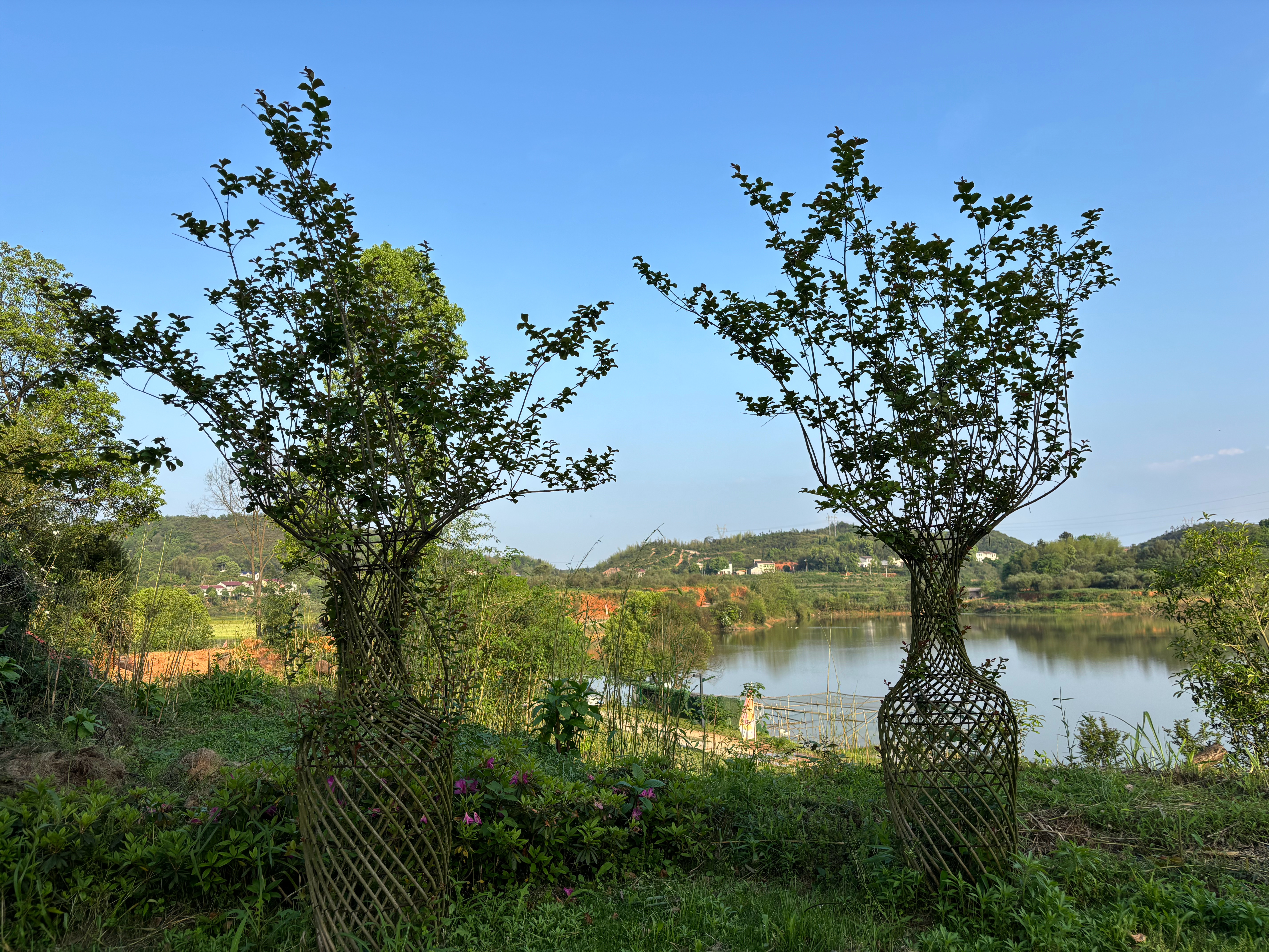 昨日艳阳高照今日暴雨倾盆 这便是湖南的天