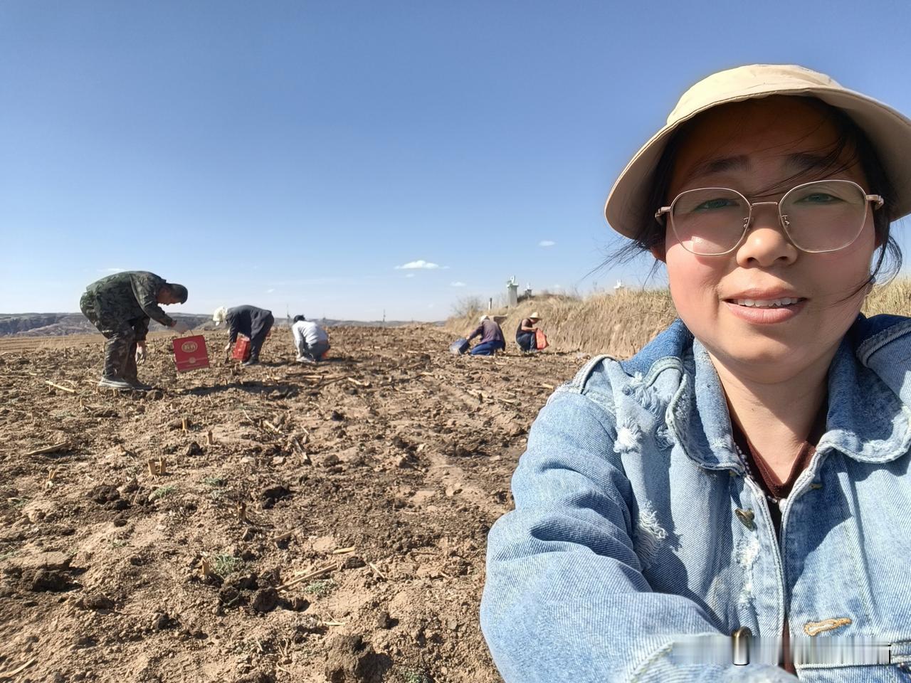 地标山西偏关小县城，春季里喜欢结伴而行来农田里挖苦菜，今年春季干旱少雨，挖苦菜也