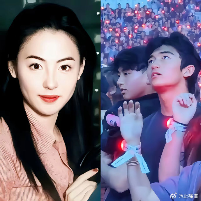 王菲为谢霆锋《两只蝴蝶》热情舞动，却意外被张柏芝的育儿风采及时尚大片抢镜，八只蝴
