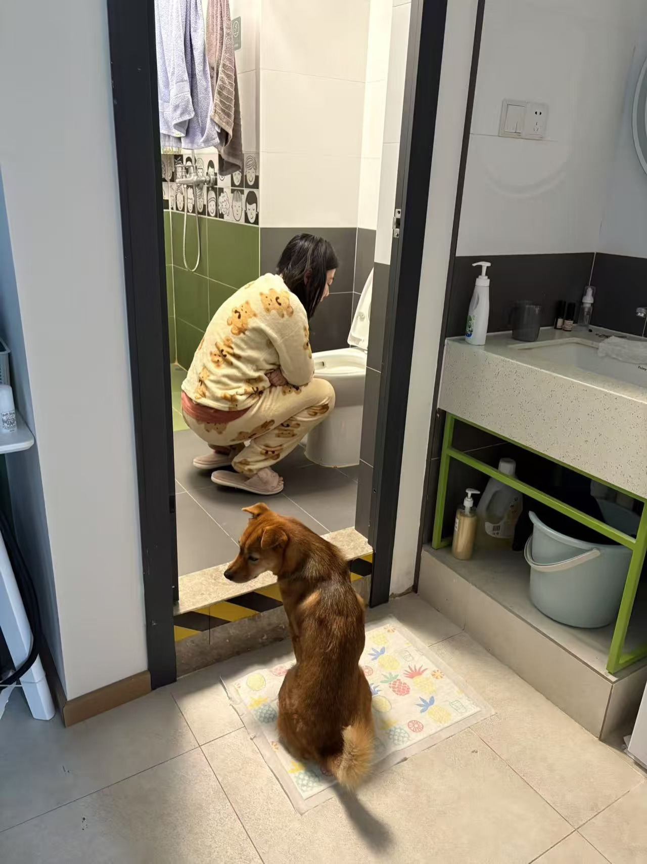 如果怀孕了小狗会知道吗