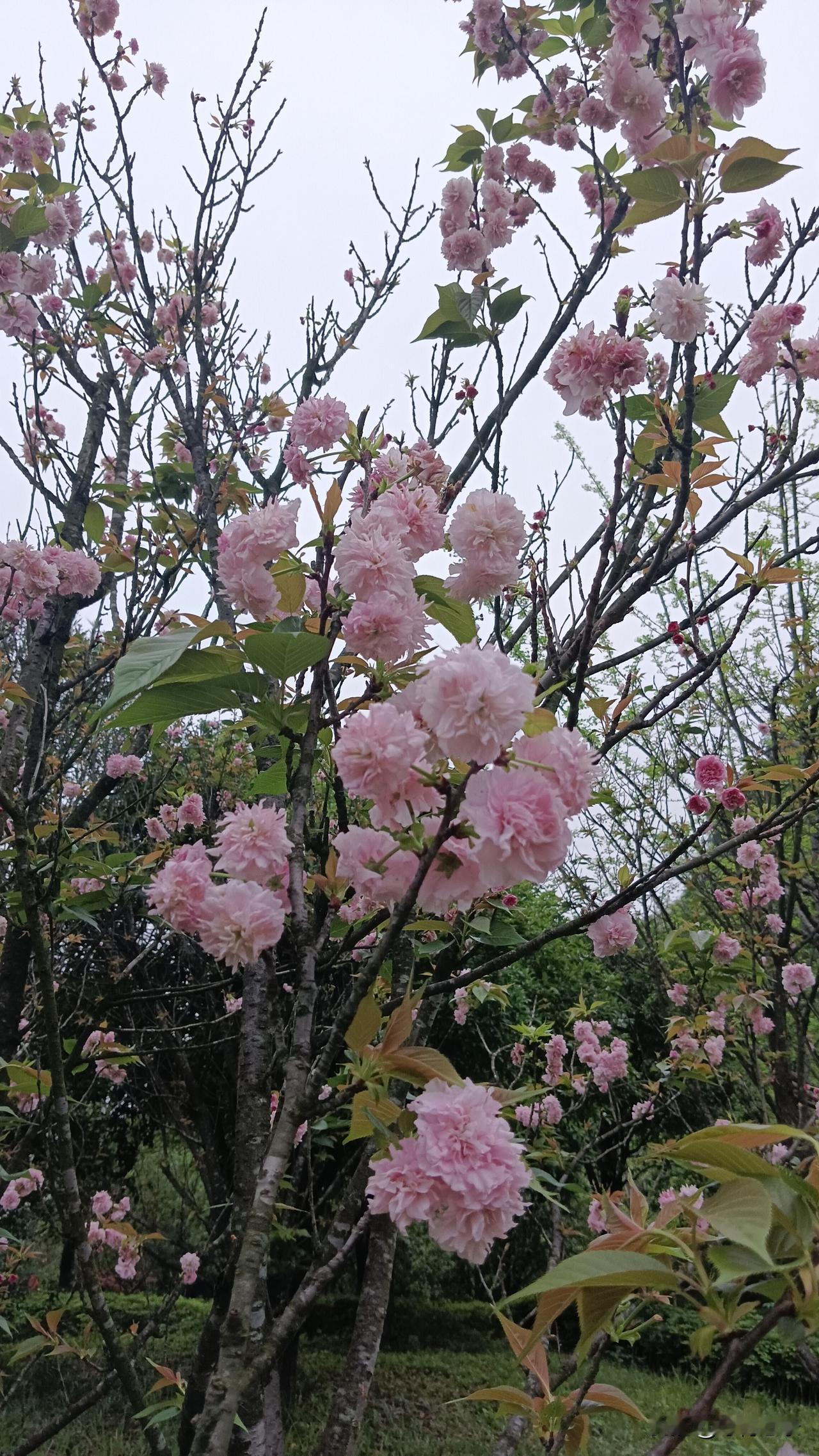 文学作品一定要调动人们积极思考的兴趣，否则就不是好作品。
文学作品一定要有正能量