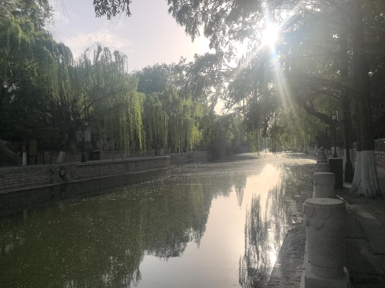 济南护城河
毛絮纷纷