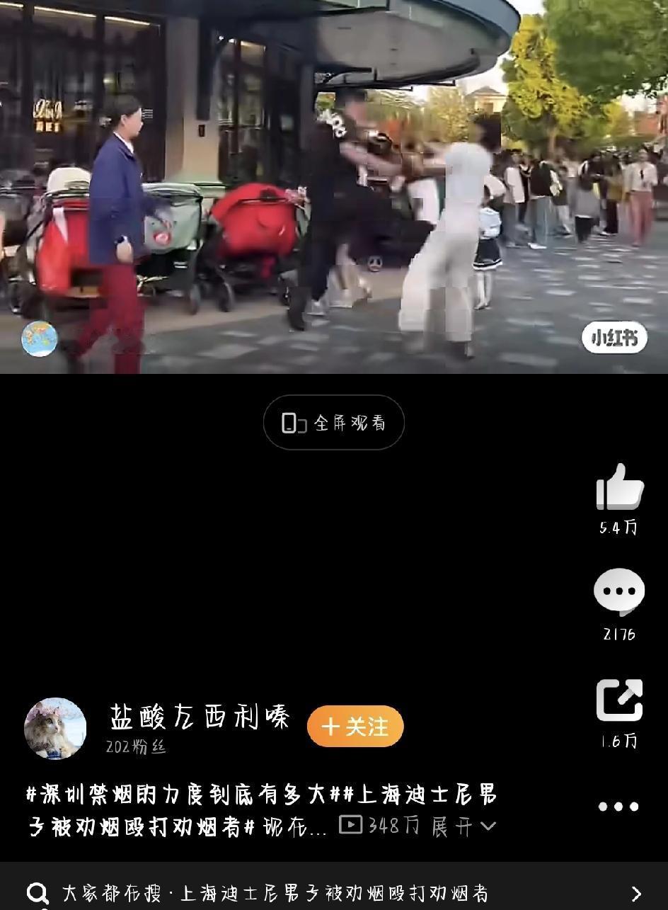最近公共场所因为劝烟引发的冲突，真是一波接一波。深圳那边刚闹完，上海迪士尼又出了