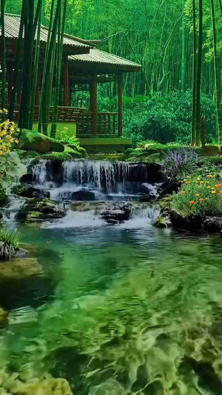 我的今日状态：💰期待暴富
我这里的天气：☀️晴天

很期待！山涧流水，乡野诱惑