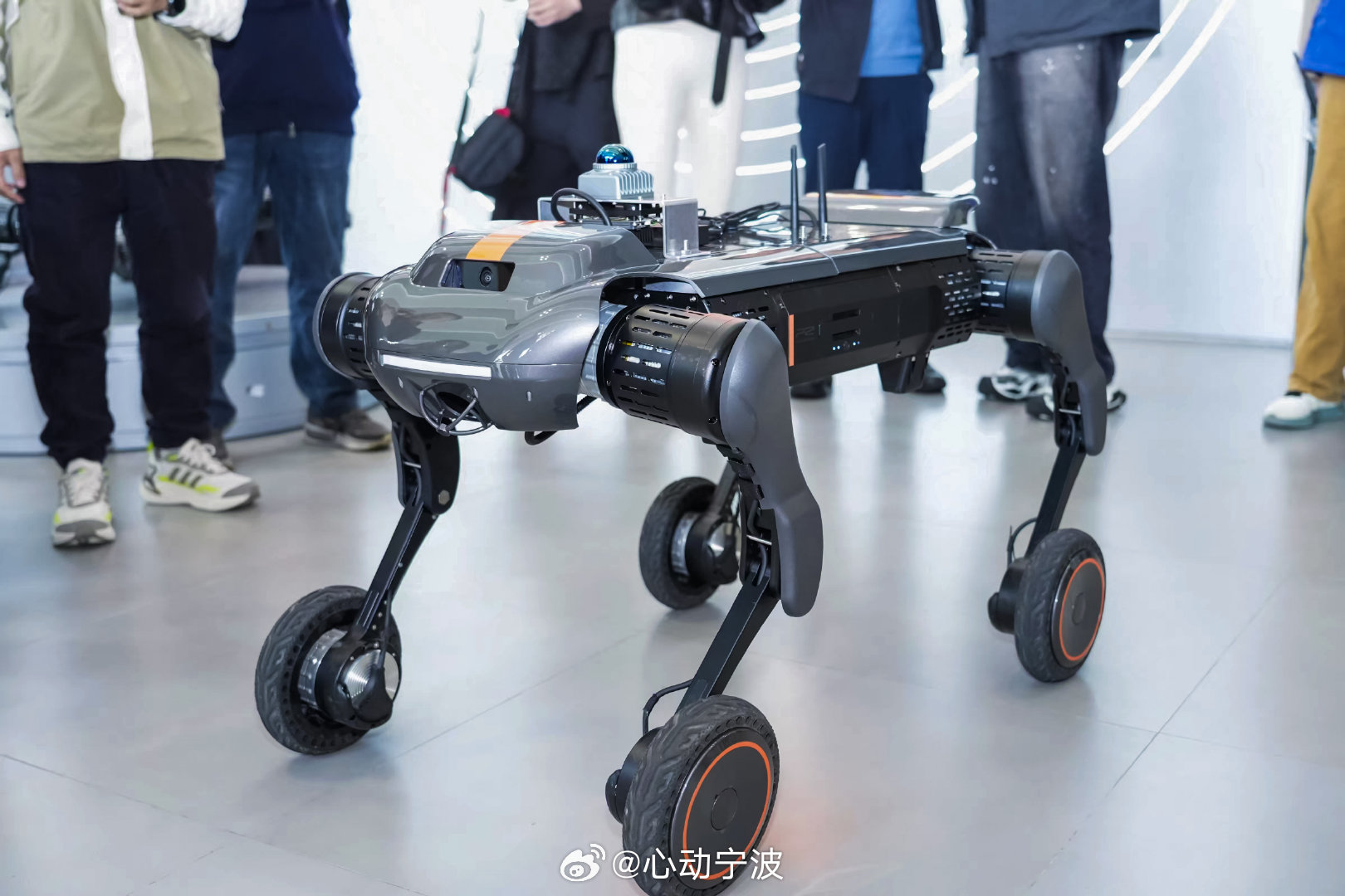 【浙江和达机器人谷赋能高质量发展 】以高质量发展为引领，和达机器人谷聚焦具身智能