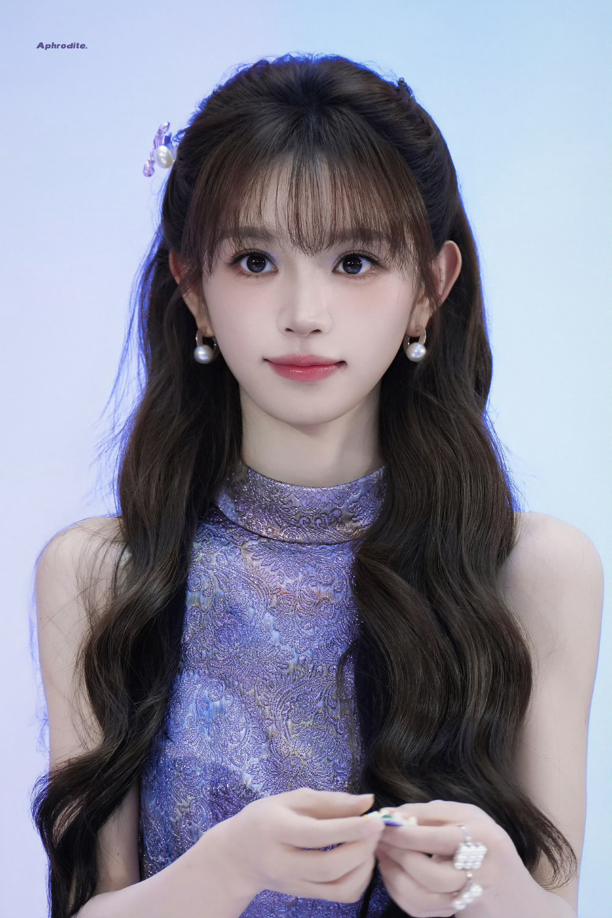 有猫咪 