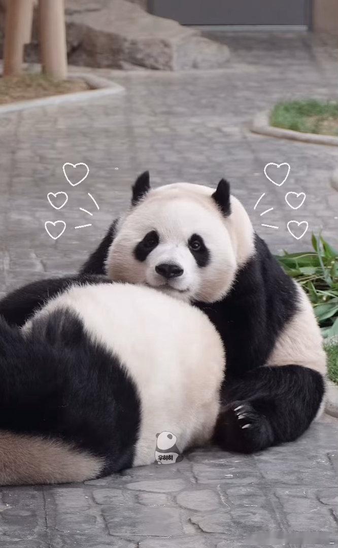 每天早起打卡早安安～ 