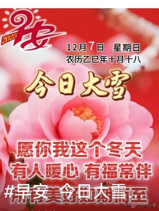 今日大雪。
大雪迎丰年！