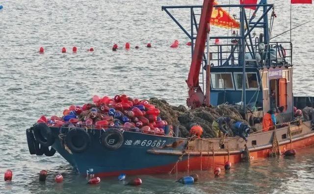 清算开始了，日本在东海悍然扣押中国渔船，彻底踩碎了中方的忍耐底线！这根本不是什么