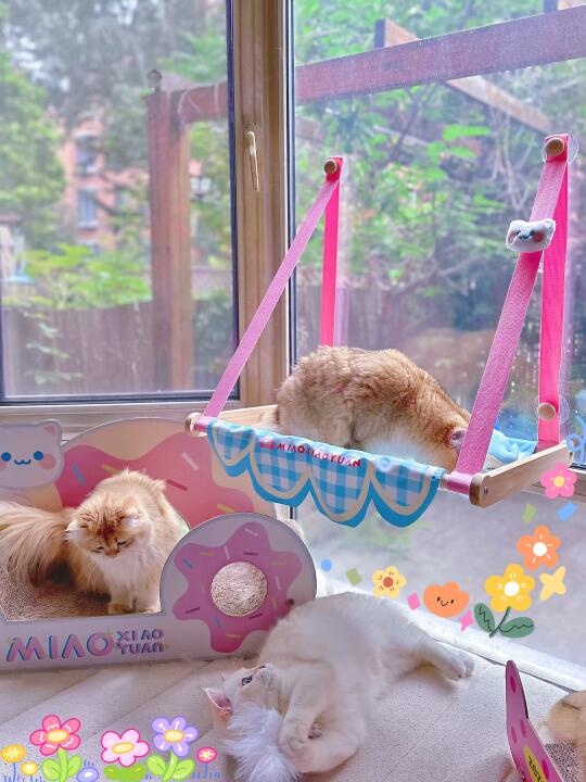 七只猫排队体验可爱吊床