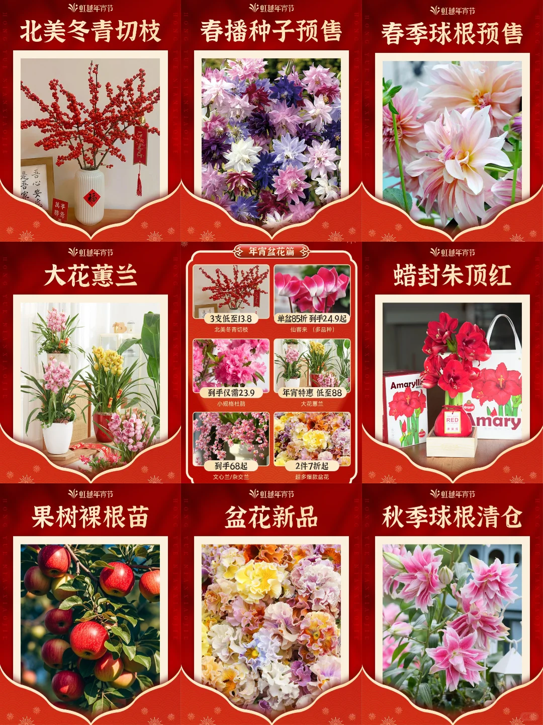 无花不成年，虹越年宵节来啦，喜迎2025！