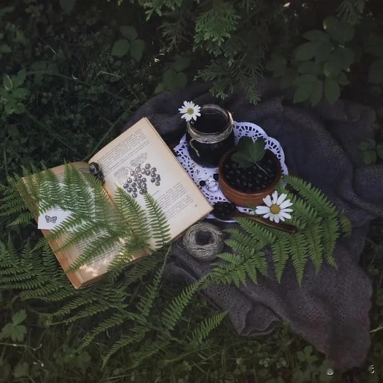 有时候驻足于美术馆的某张画，看着入神，偶尔会灵魂出窍的感觉，会把我代入进去画面的