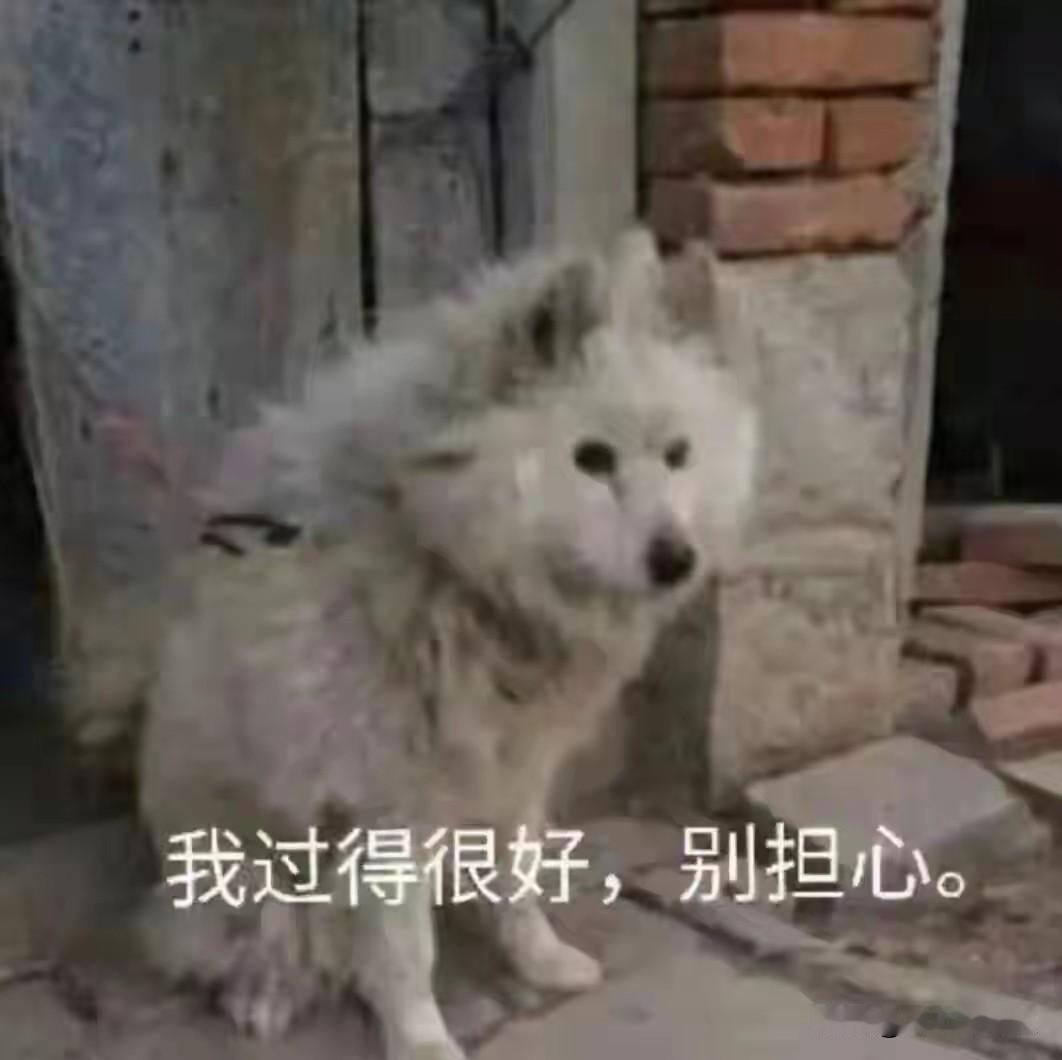 乐乐最近不能一直发出来了，都是违规