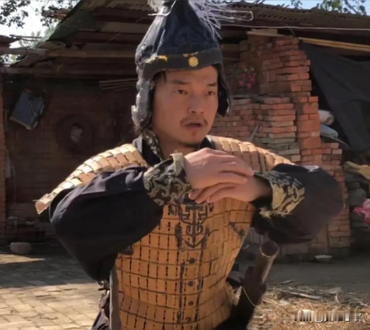 安徽阜阳有个鲍小光火了！
原因是他五年来坚持拍《土味三国》，带领村里一群留守老人