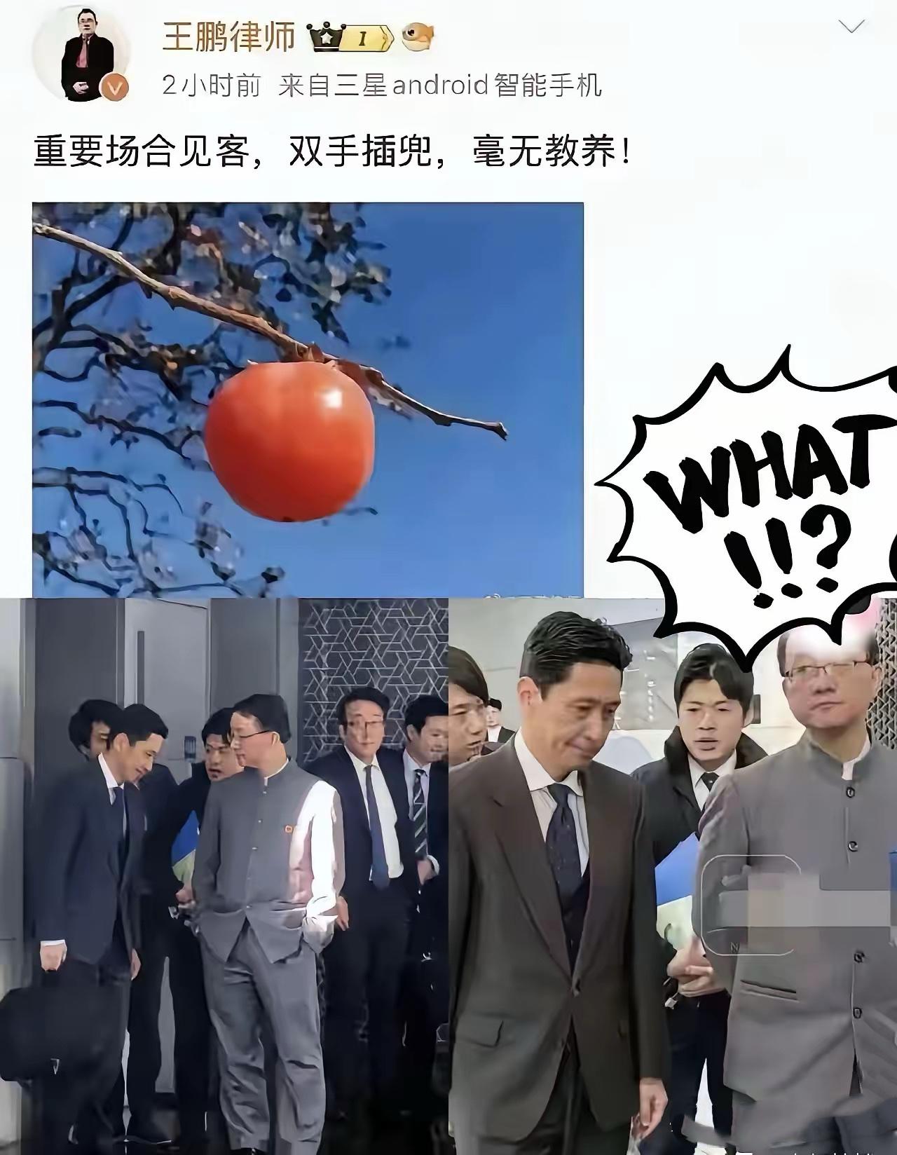这山东王鹏律师怕不是拎不清！
日本政客颠倒黑白，
咱外交官硬气回应，他倒好，盯着