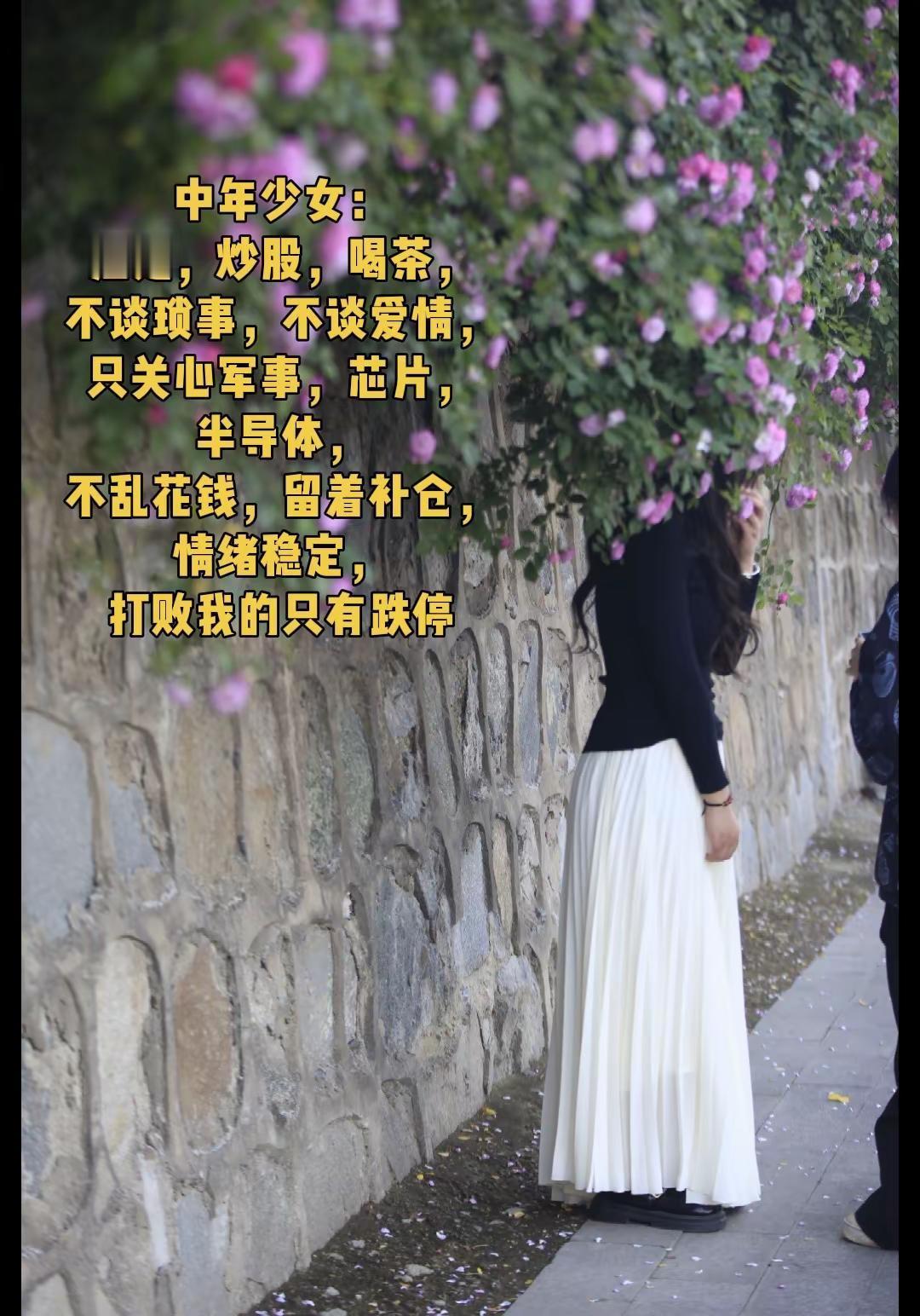 摄影 谁能拒绝和盛开的蔷薇合影 炒股养家 涨停板敢死队 过一万次春天拍无数的照片
