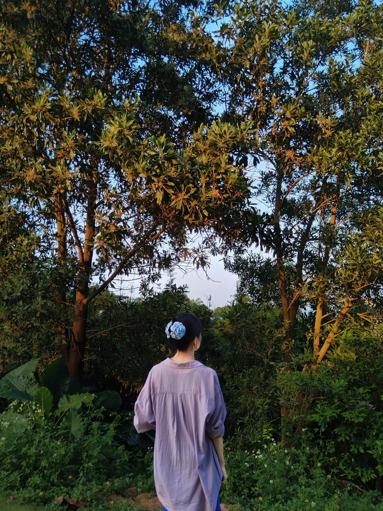 自己的选择自己负责，
现在我对爸妈也是这么说，
做任何事都要想好最坏的打算，
能