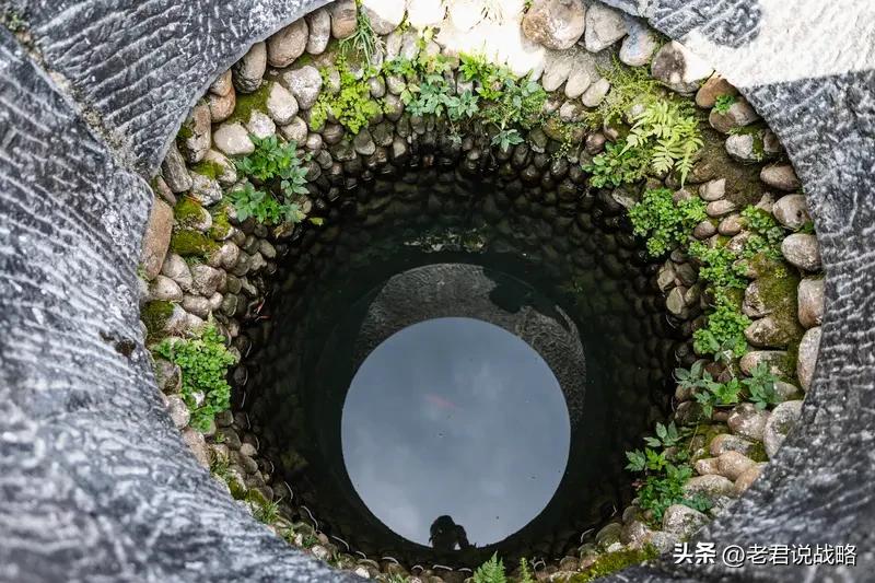 古井无声偷月色，
青藤有意锁仙娥。