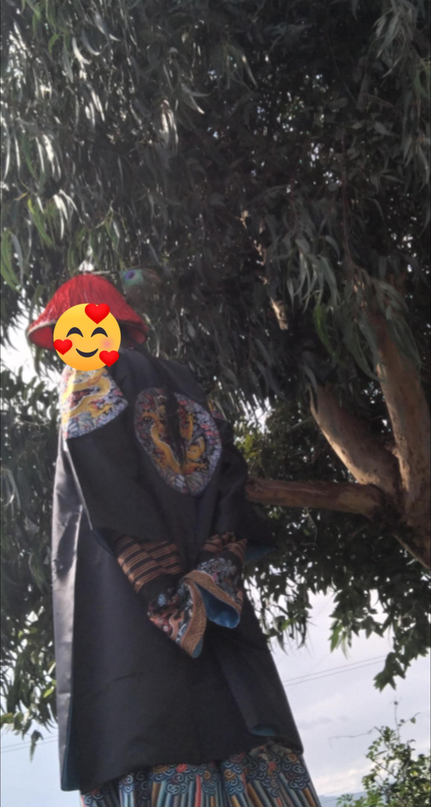 大王四团龙补服