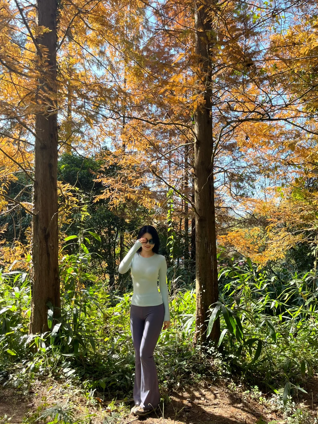 梅岭冬日最美徒步路线