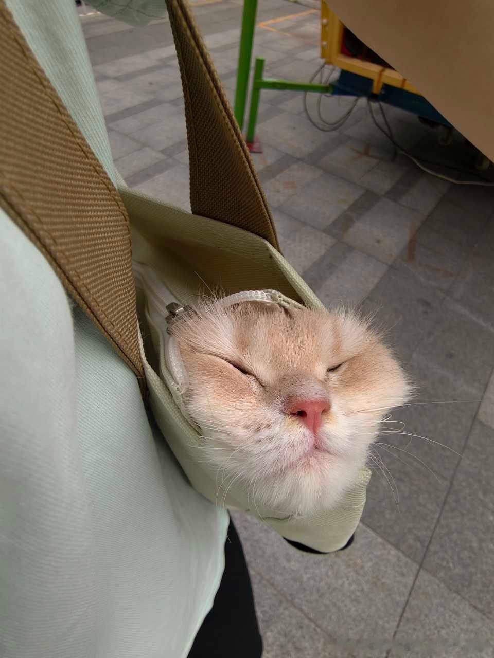 50572【丑猫】盘点一些神级拍摄手法 