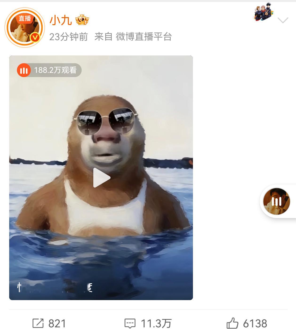 十个勤天陈少熙直播 你永远会被小九的直播封面给雷倒