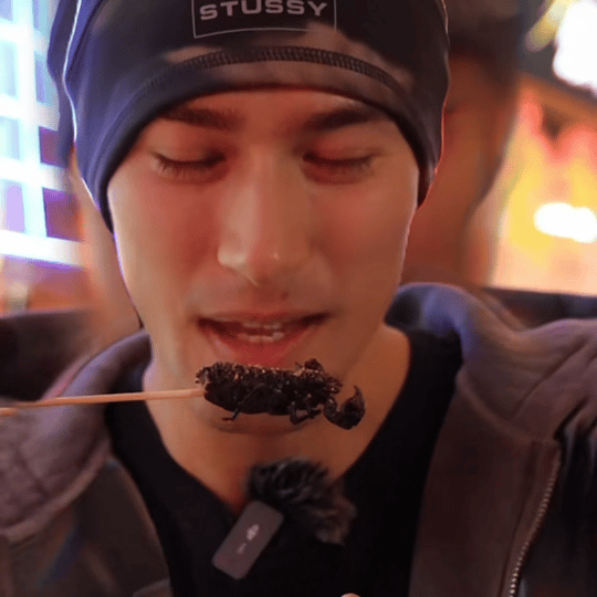 米卡和爸爸挑战吃虫子父子俩也太敢了吧！面对各种奇奇怪怪的虫子，俩人都乐于尝试！表