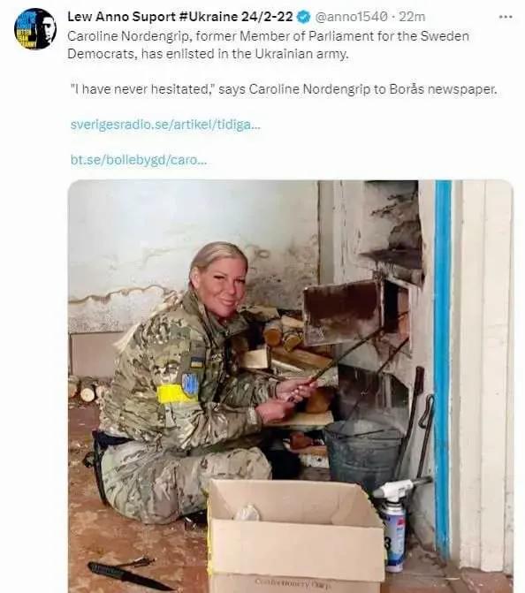 瑞典民主党前议员卡罗琳·诺登格里普 (Caroline Nordengrip) 