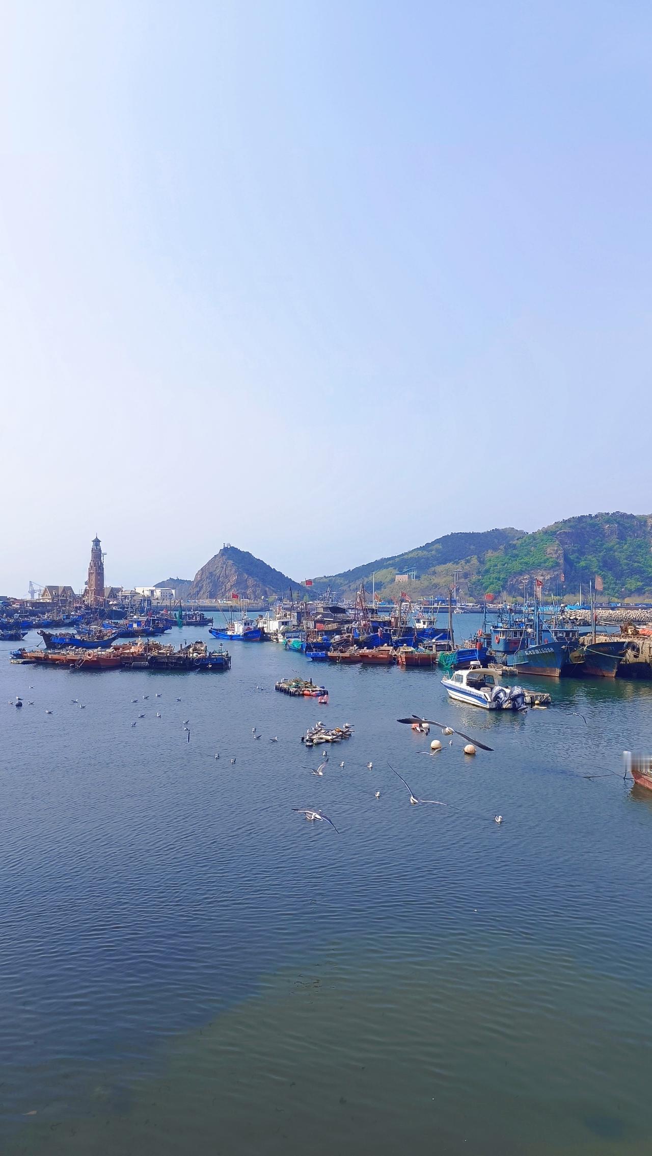 周日第一趴——渔人码头🐚
第一餐后去赶海，从露出一点礁石到露出很多礁石，赶海收