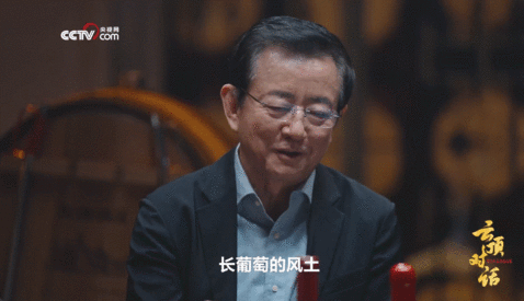 央视网云顶对话樊纲新望央视网《云顶对话》没白追！新望博士聊企业靠三大精神立足，不