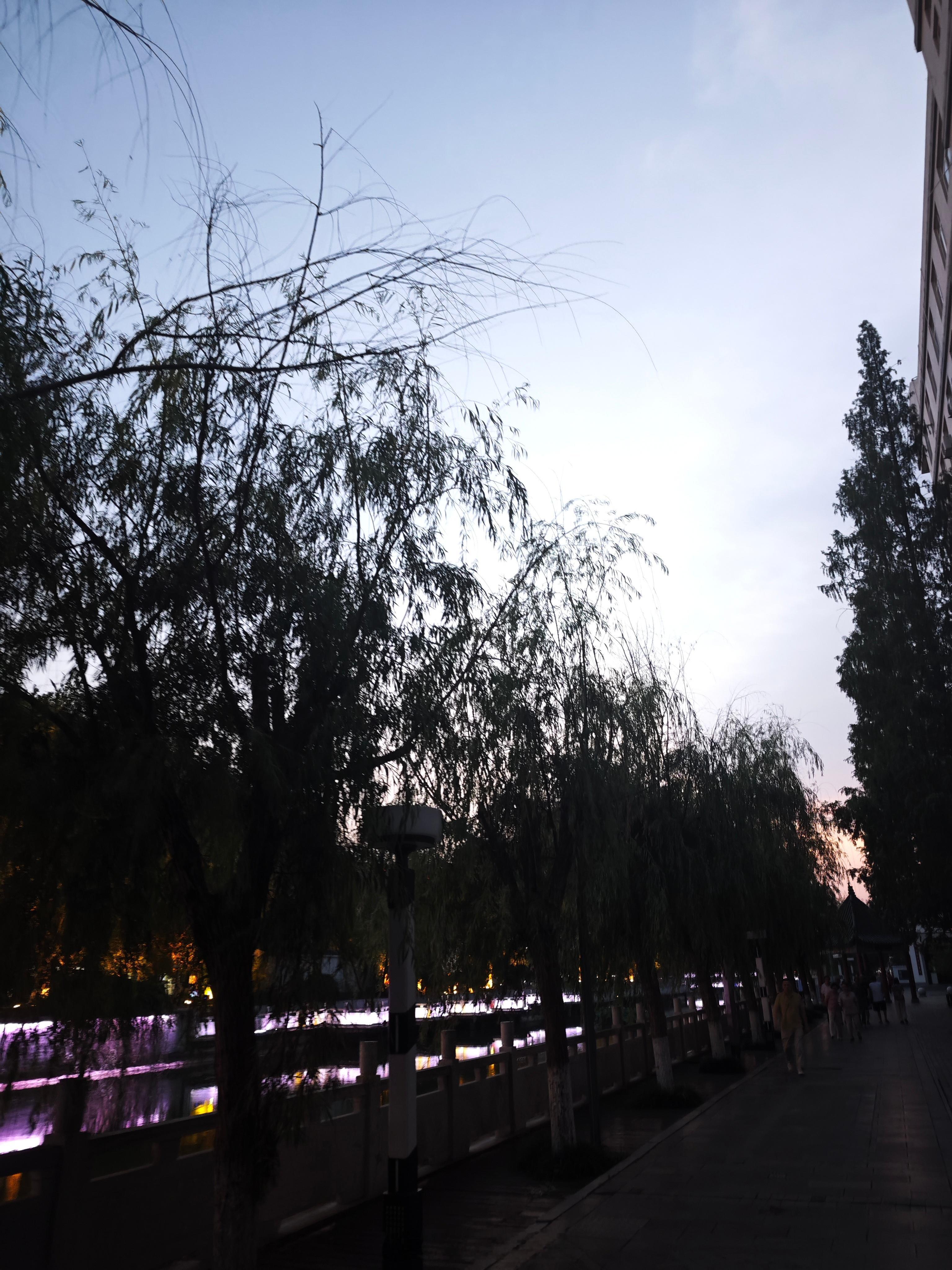 夜晚的风吹的很舒服还伴着夏天独有的知了声一阵阵的，好惬意 