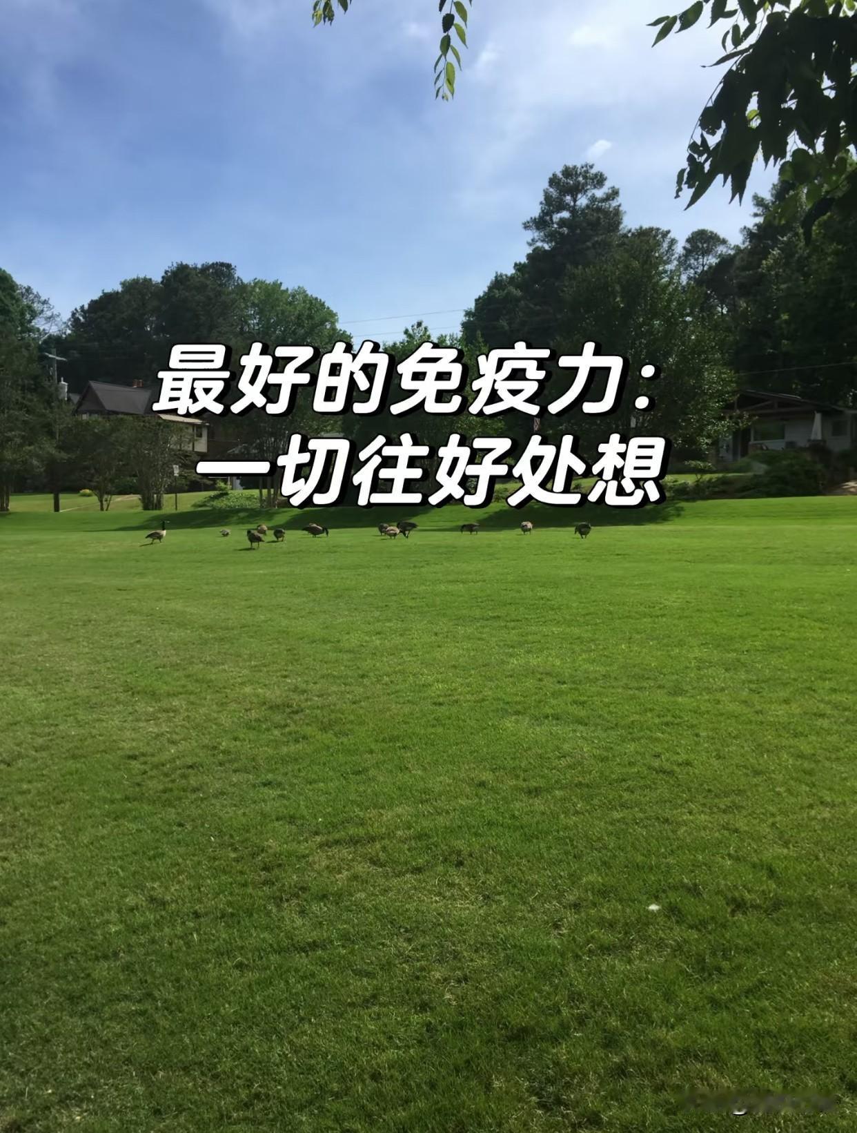 原来最好的免疫力，是遇事往好处想

以前我一直搞错了。
说起提升免疫力，只想着好