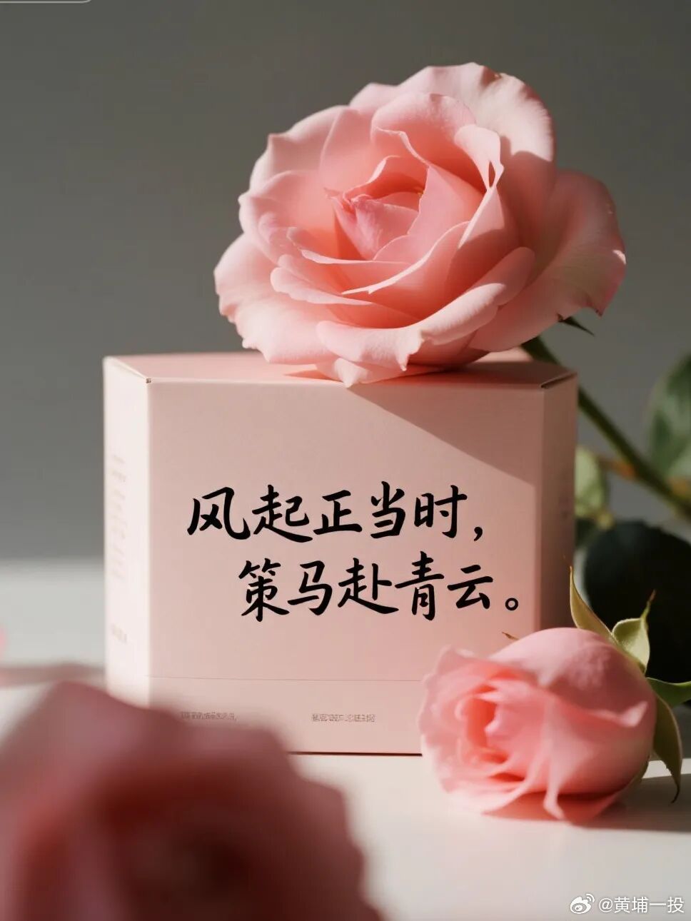 女神节 愿女神朋友们眼里总有光芒✨，手里总有鲜花💐。不惑于年龄👸，不困于身材