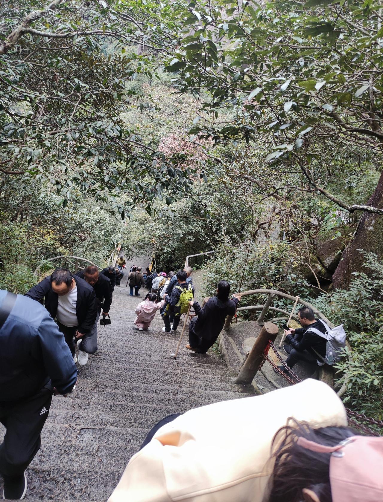 登高望远，梦想成真
📍上海