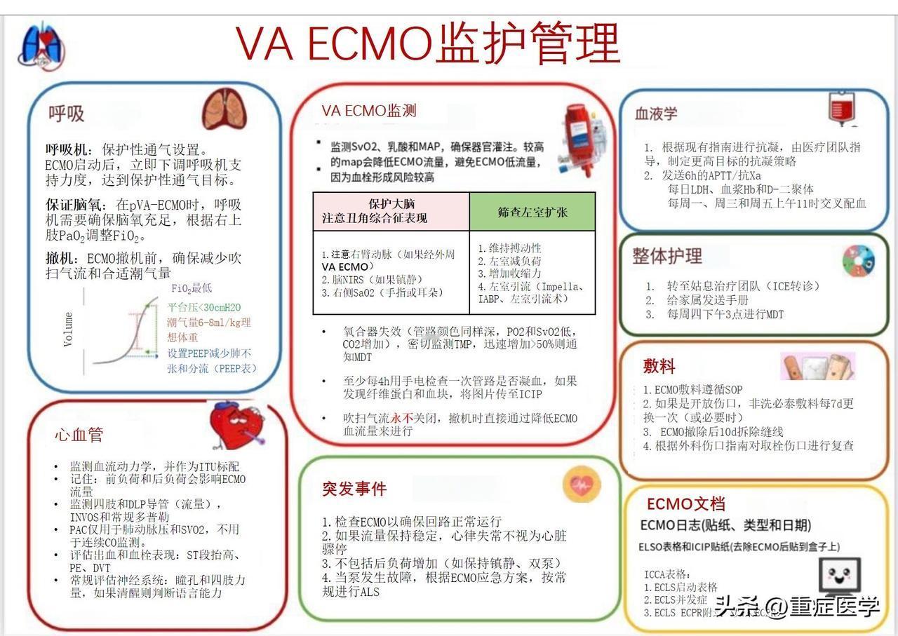 VA_ECMO管理