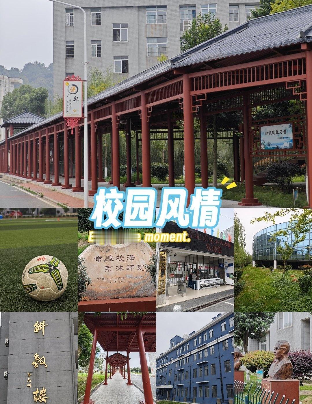 益阳市第十六中学坐落于赫山区沧水铺古镇，前伴溪水田园、后倚群山环抱，校园内古樟翳