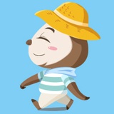 施枣热聊音乐