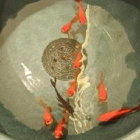 我的今日状态：😎自信酷炫
我这里的天气：☀️晴天