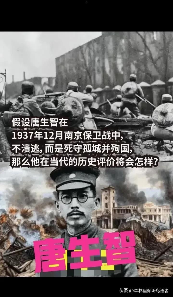 南京保卫战，唐生智认为南京高大的城墙，可以阻挡日军爬上来，就是炮轰也不怕。但是，