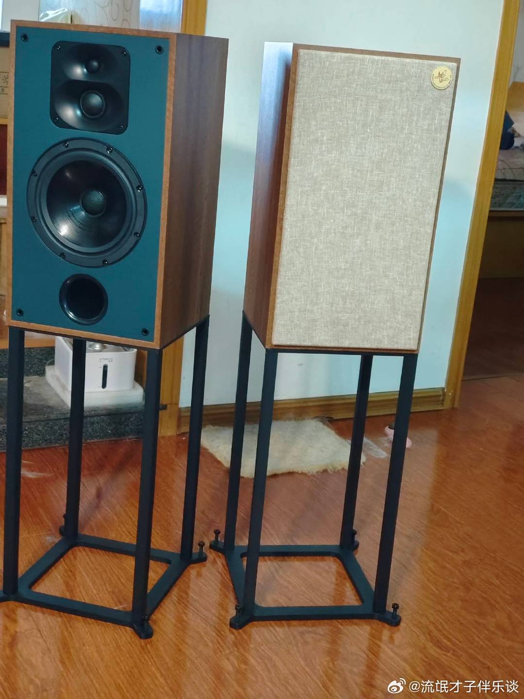 唐韹和太平洋影音联合推出的Se100是最近两个月话题性很高的一对国产无源音箱，3